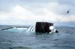Zeemonsters bestaan echt en ze staan op je zeekaart