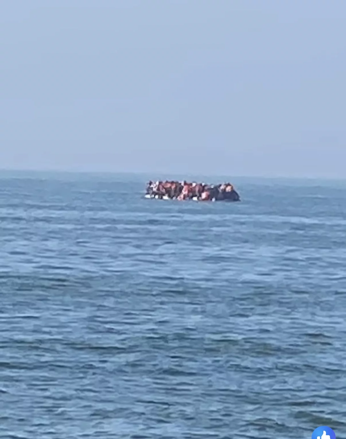 Wat moet je doen als je een boot ziet met migranten ?