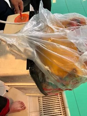reddingsvlot painter geblokkeerd